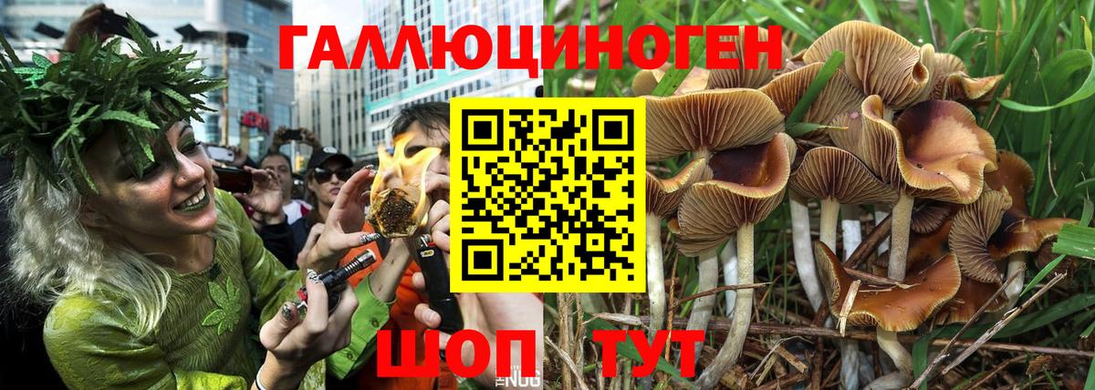 Королёв  Галлюциногенные грибы Magic Shrooms  Вход с VPN  цены наркотик  Галлюциногенные грибы MAGIC MUSHROOMS 